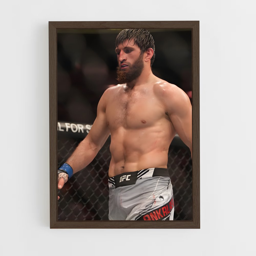 Poster L'Ascension d'Ankalaev – affiche MMA (vue 5)
